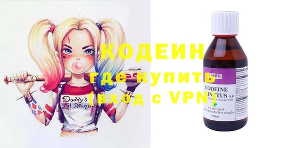 крисы Сатка